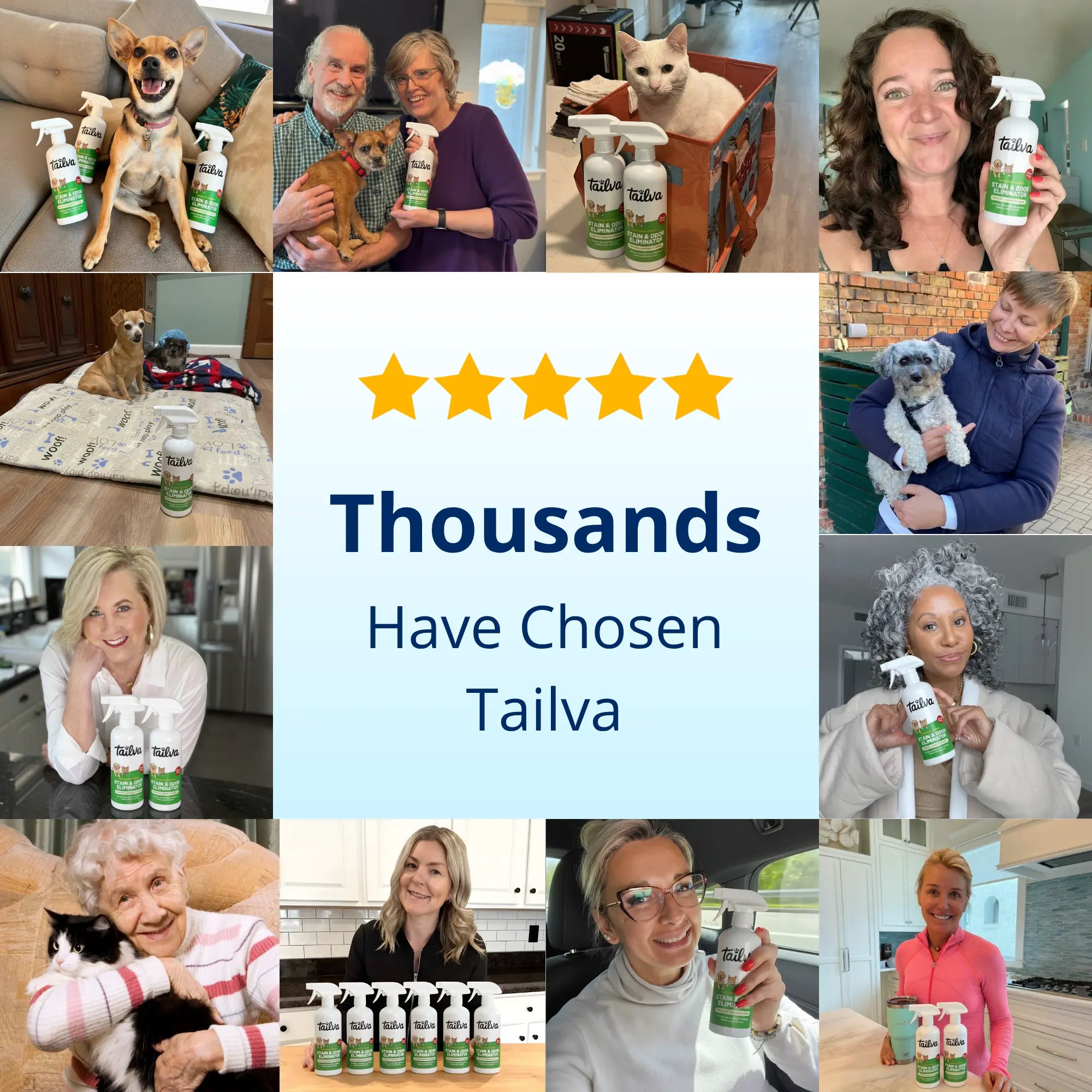 Instant Stain & Odor Remover - Tailva