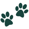 tailva.com favicon