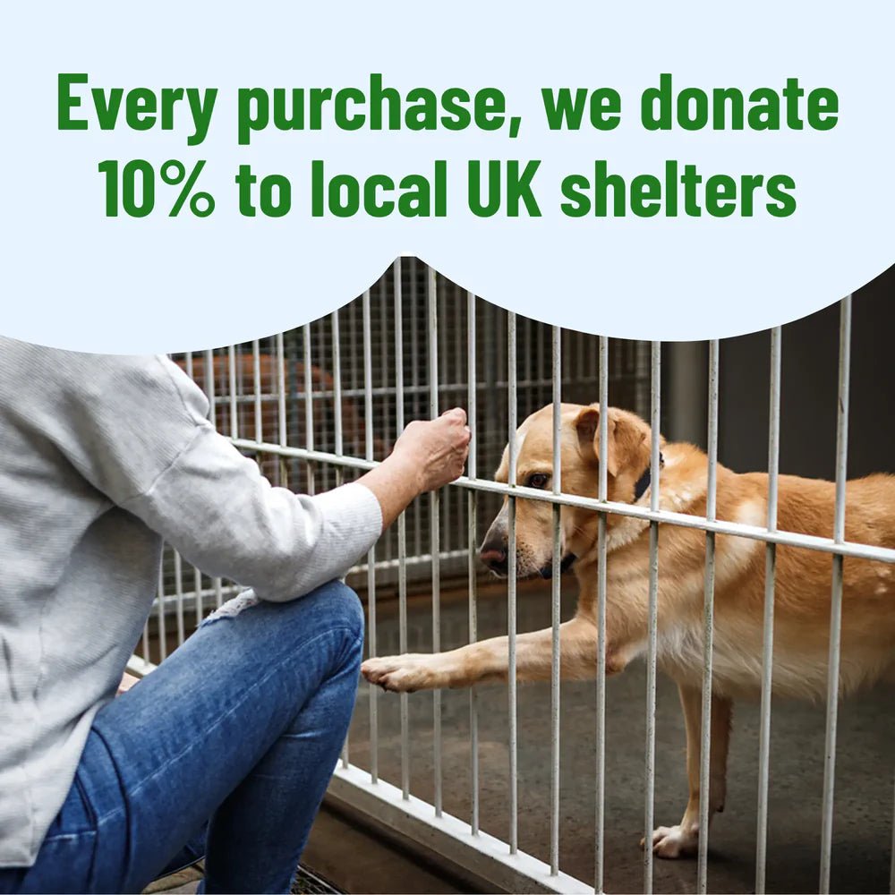 Instant Stain & Odor Remover full Solution - Tailva